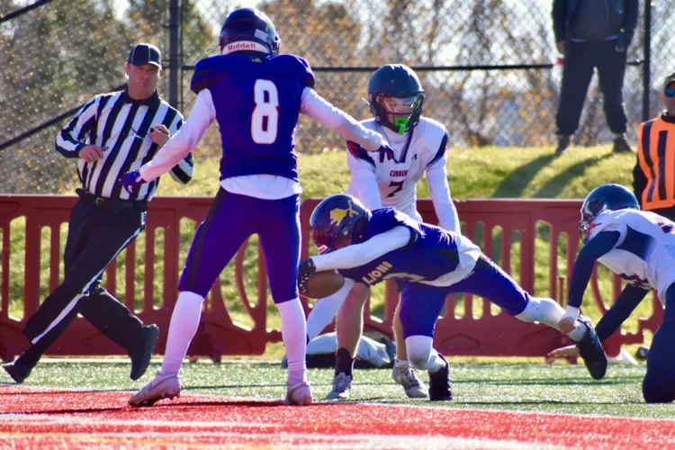Late rally sends Lions to state quarterfinals